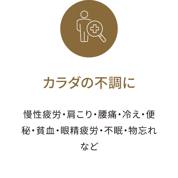カラダの不調に 慢性疲労・肩こり・腰痛・冷え・便秘・貧⾎・眼精疲労・不眠・物忘れなど
